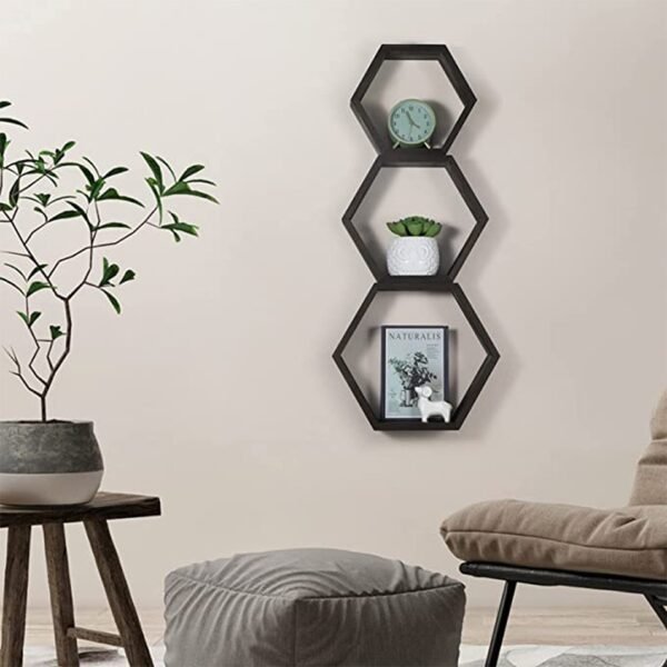 Hexagon wall shelf Decor