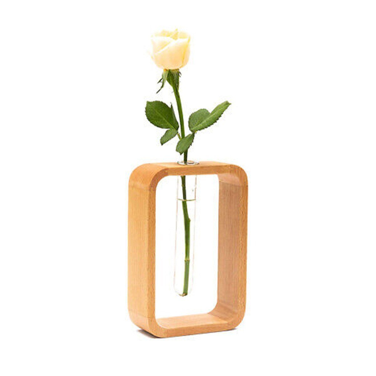 Exquisite Wooden Test Tube Showpiece